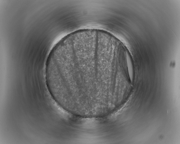 X0000090760990200708172044