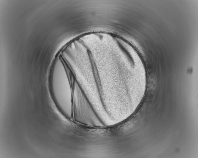 X0000090760991200708172044