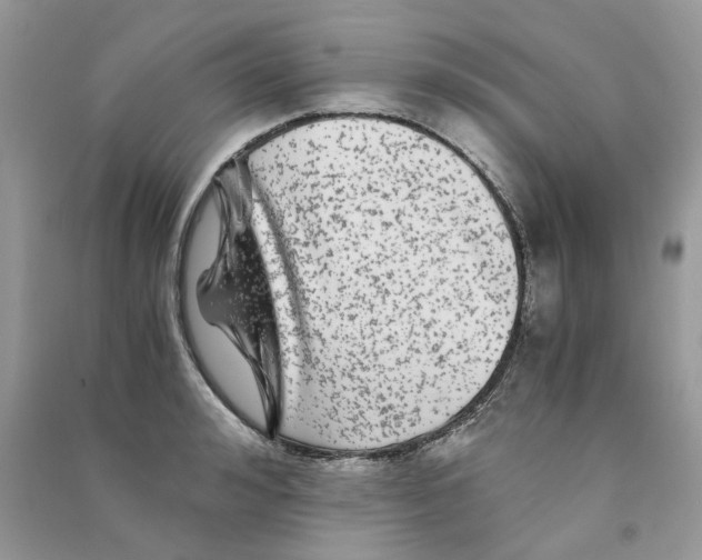 X0000090760992200708172044