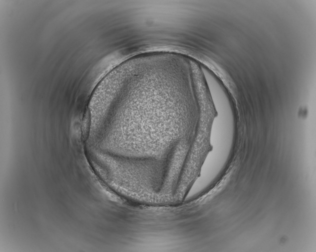 X0000090760993200708172044