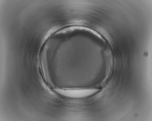 X0000090760994200708172044