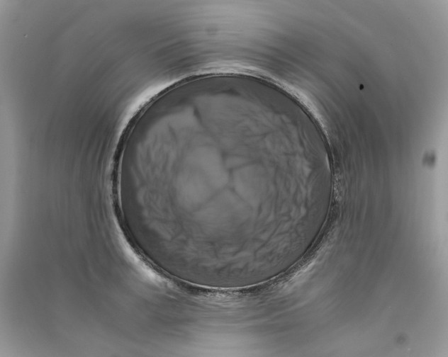 X0000090760995200708172044