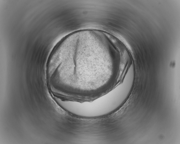 X0000090760996200708172044