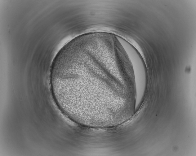 X0000090760997200708172044