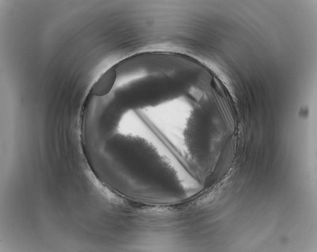 X0000090760998200708172044