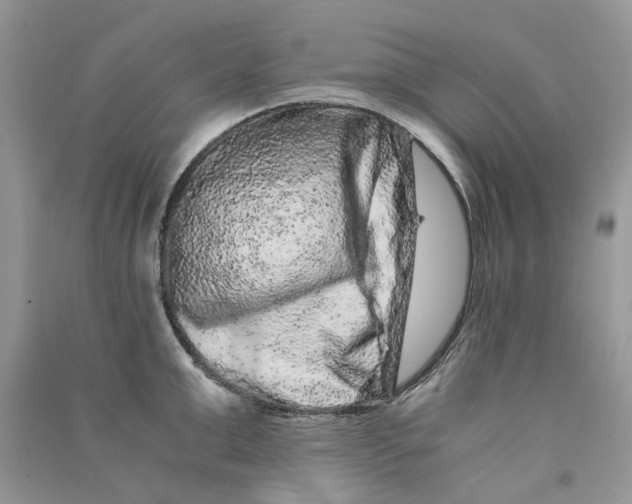 X0000090760999200708172044