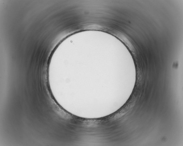 X0000090761000200708172044