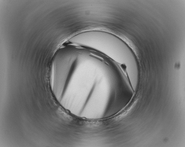 X0000090761001200708172044