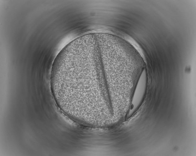 X0000090761002200708172044