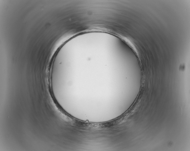 X0000090761003200708172044