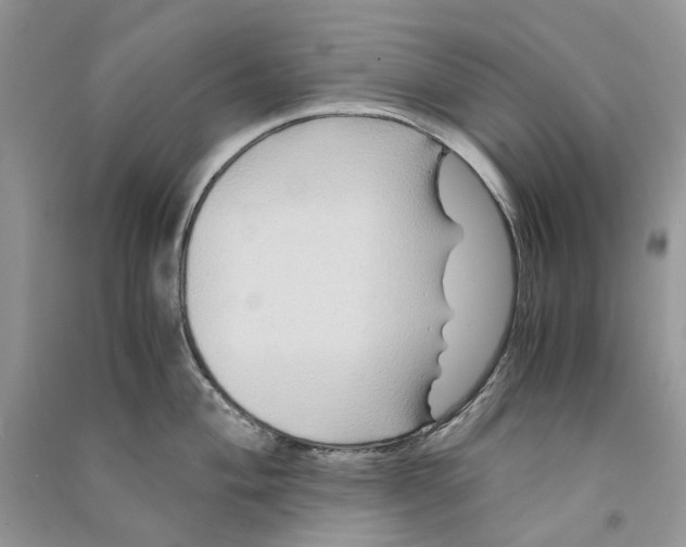 X0000090761004200708172044