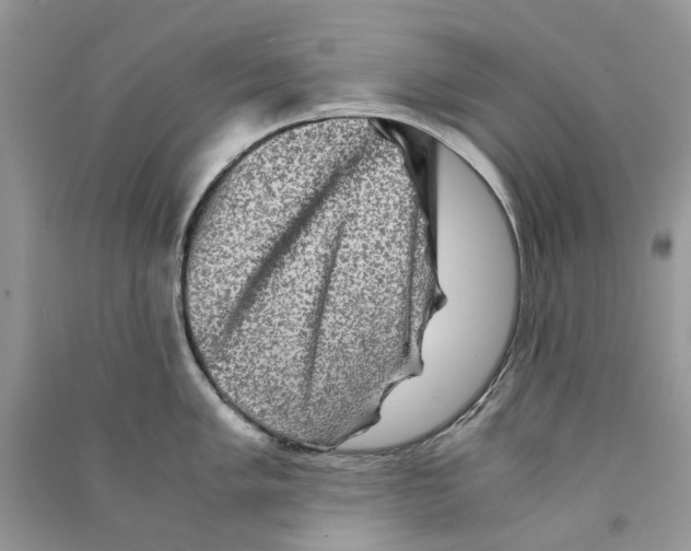 X0000090761005200708172044