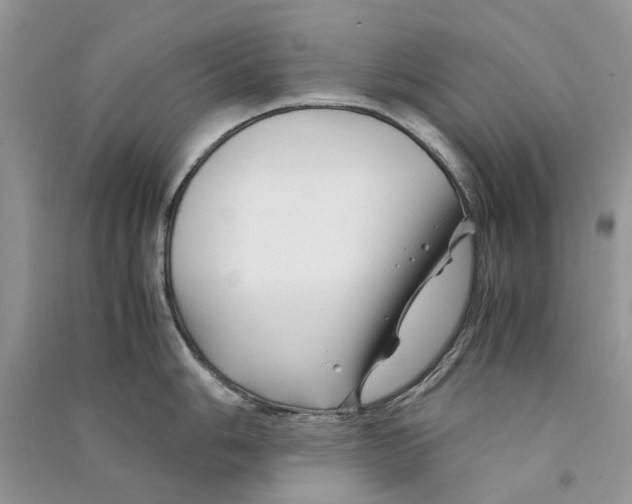 X0000090761006200708172044