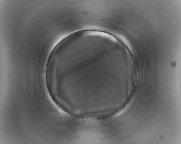 X0000090761007200708172044