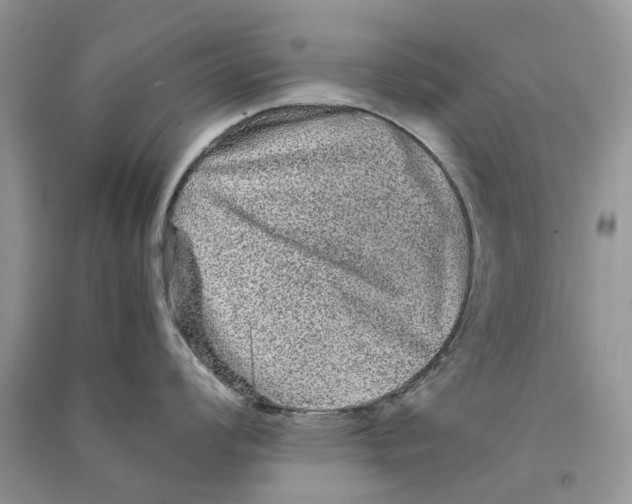 X0000090761008200708172044