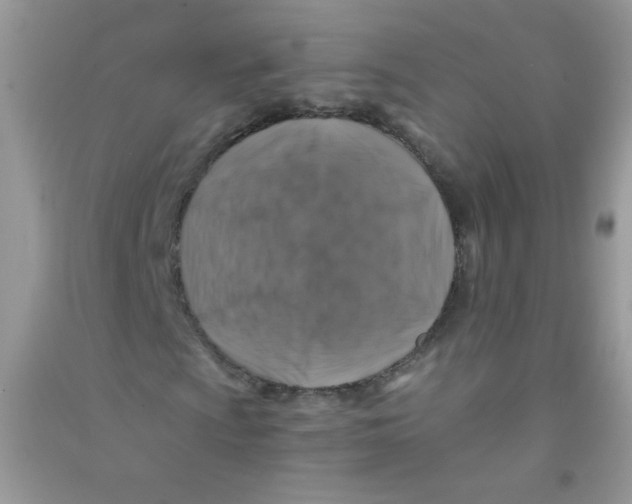 X0000090761009200708172043