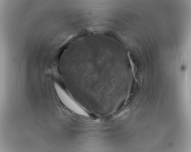 X0000090761010200708172043