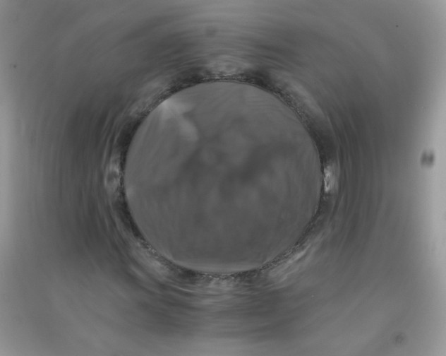 X0000090761011200708172043