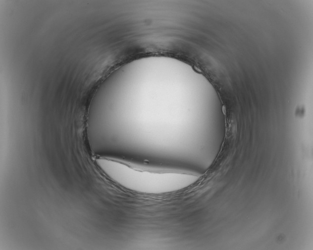 X0000090761012200708172043