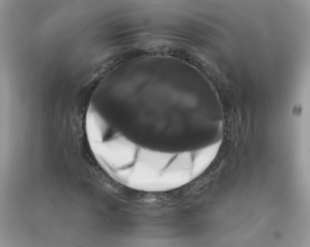 X0000090761013200708172043