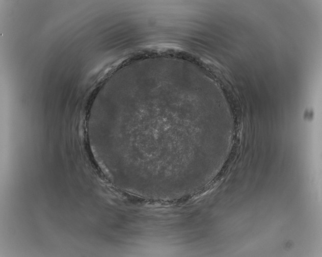 X0000090761014200708172043