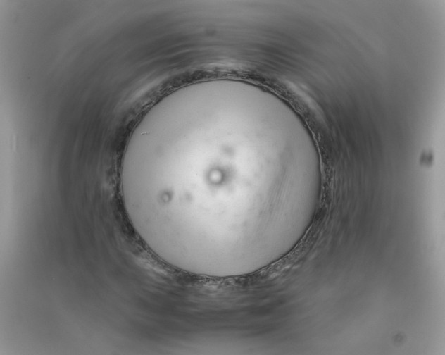 X0000090761015200708172043