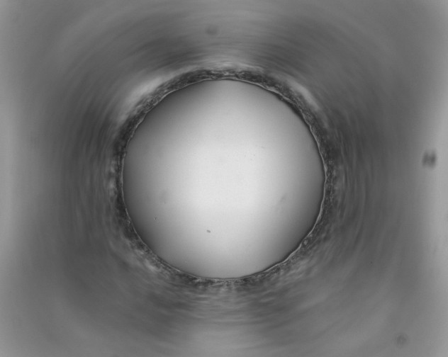 X0000090761016200708172043