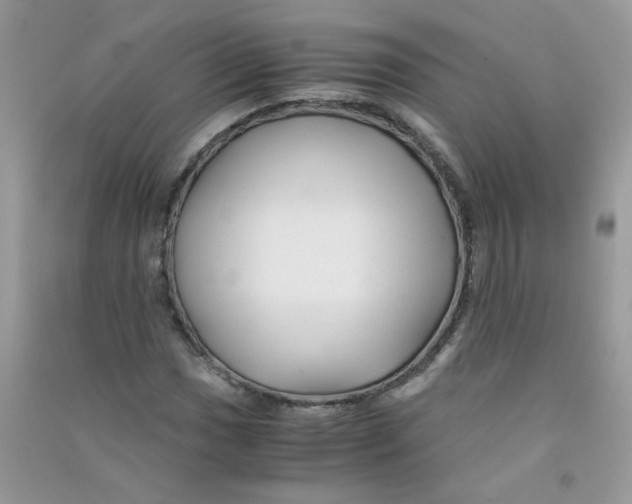 X0000090761017200708172043