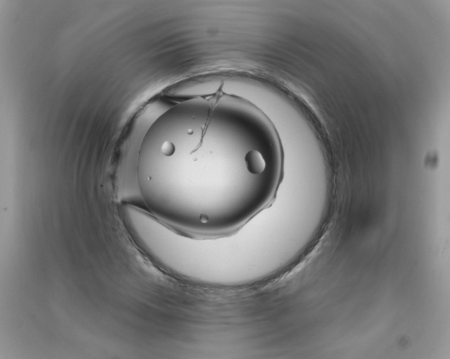 X0000090761018200708172043