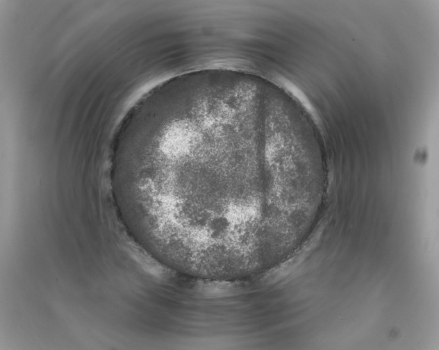 X0000090761019200708172043