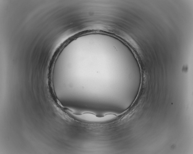 X0000090761020200708172043