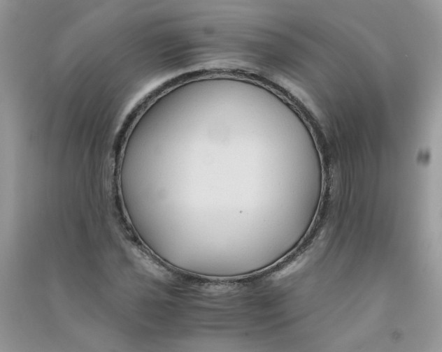 X0000090761021200708172043