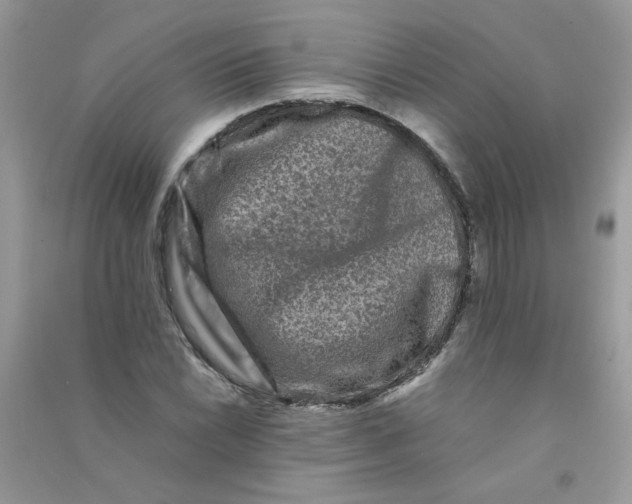 X0000090761022200708172043