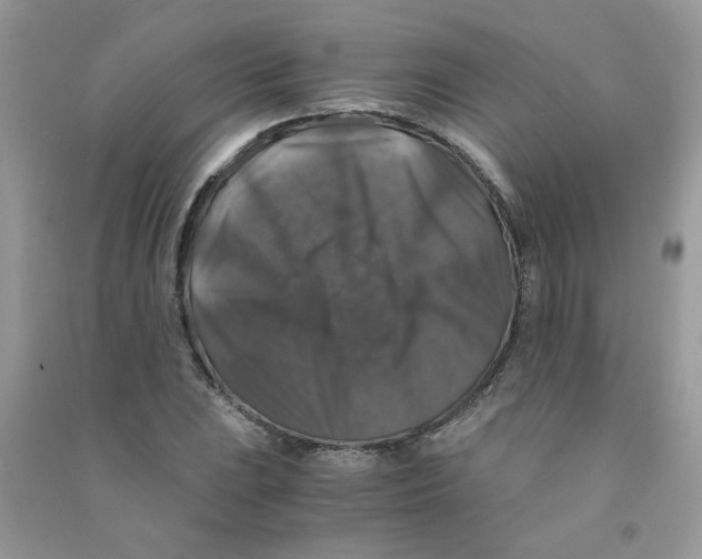 X0000090761023200708172043