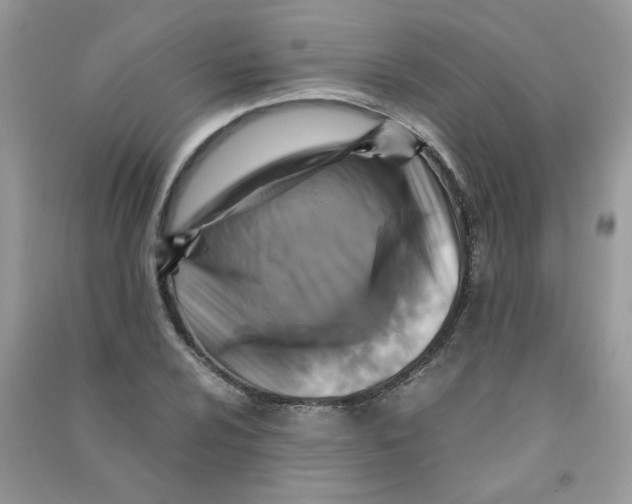 X0000090761024200708172043