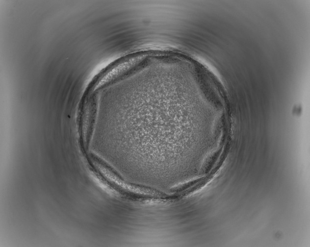 X0000090761026200708172044