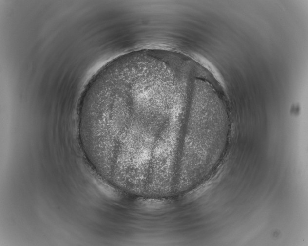 X0000090761027200708172044