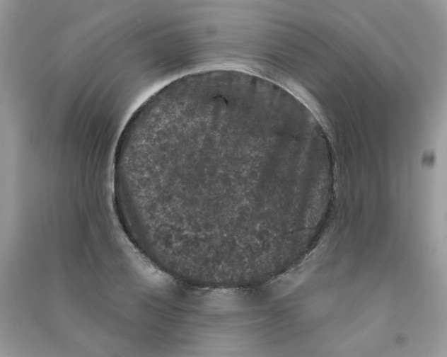 X0000090761028200708172044