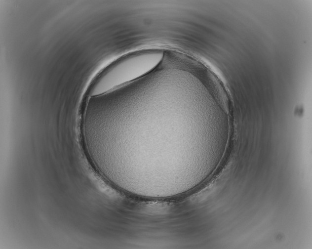 X0000090761029200708172044