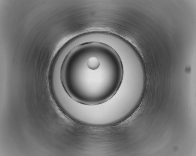 X0000090761030200708172044