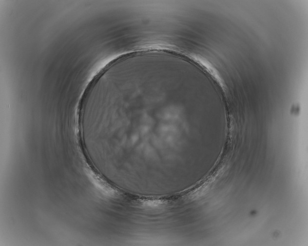 X0000090761031200708172044