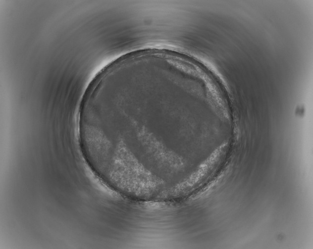 X0000090761032200708172044