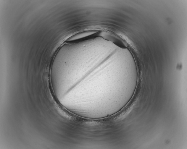 X0000090761033200708172044