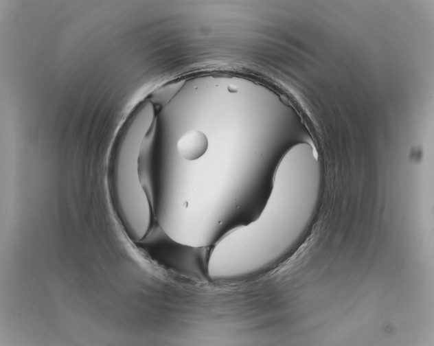 X0000090761034200708172044