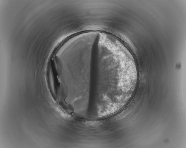 X0000090761035200708172044