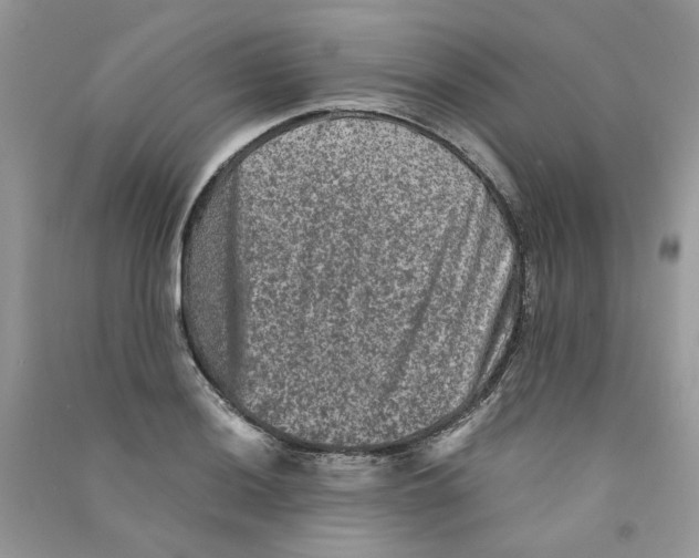 X0000090761036200708172044