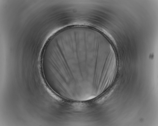 X0000090761037200708172044