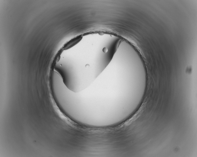 X0000090761038200708172044