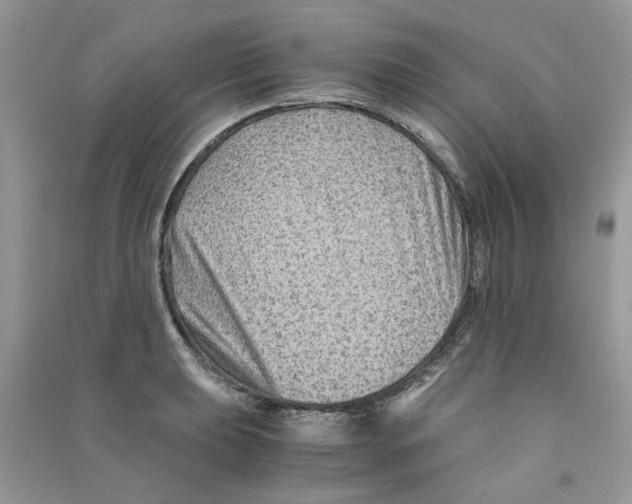 X0000090761039200708172044