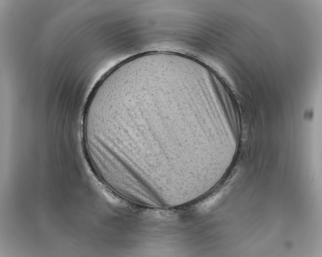 X0000090761040200708172044